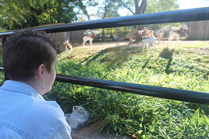 Art Students Travel to Zoo