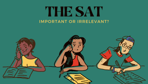 The SAT: Important or Irrelevant?