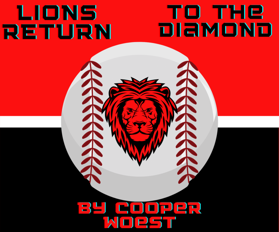 Lions return to the diamond