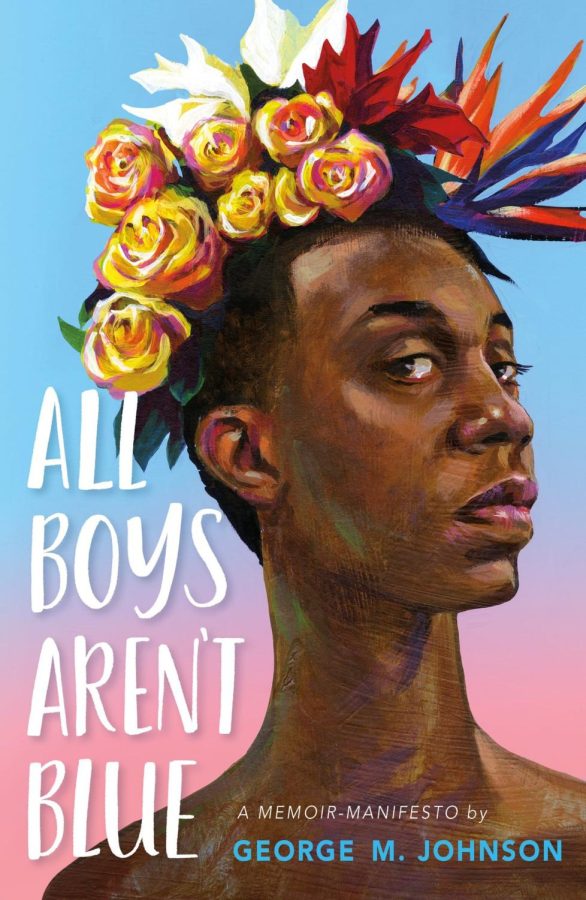 ‘All Boys Aren’t Blue’ review