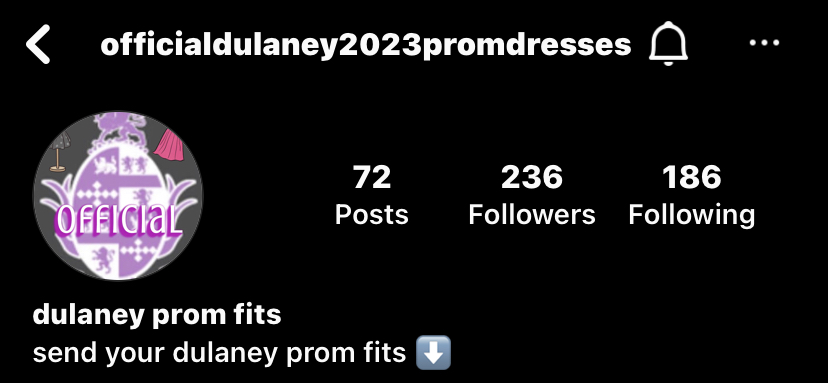 Prom+Instagram+Page%3A+Showcasing+Dresses+One+by+One