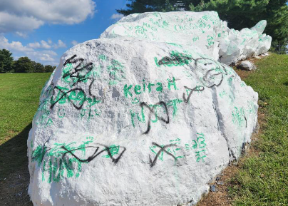 Recent vandalism prompts swift action from Dulaney administration