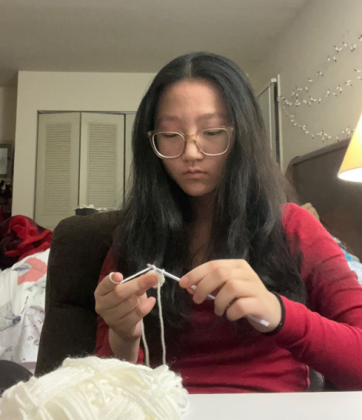 Senior Lily Xu creates solo crocheting business