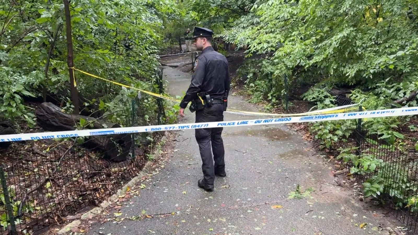 Man Charged With Murder After 63-Year-Old Woman Is Found Dead With Stab Wounds Near East Drive in Central Park on Sunday Morning