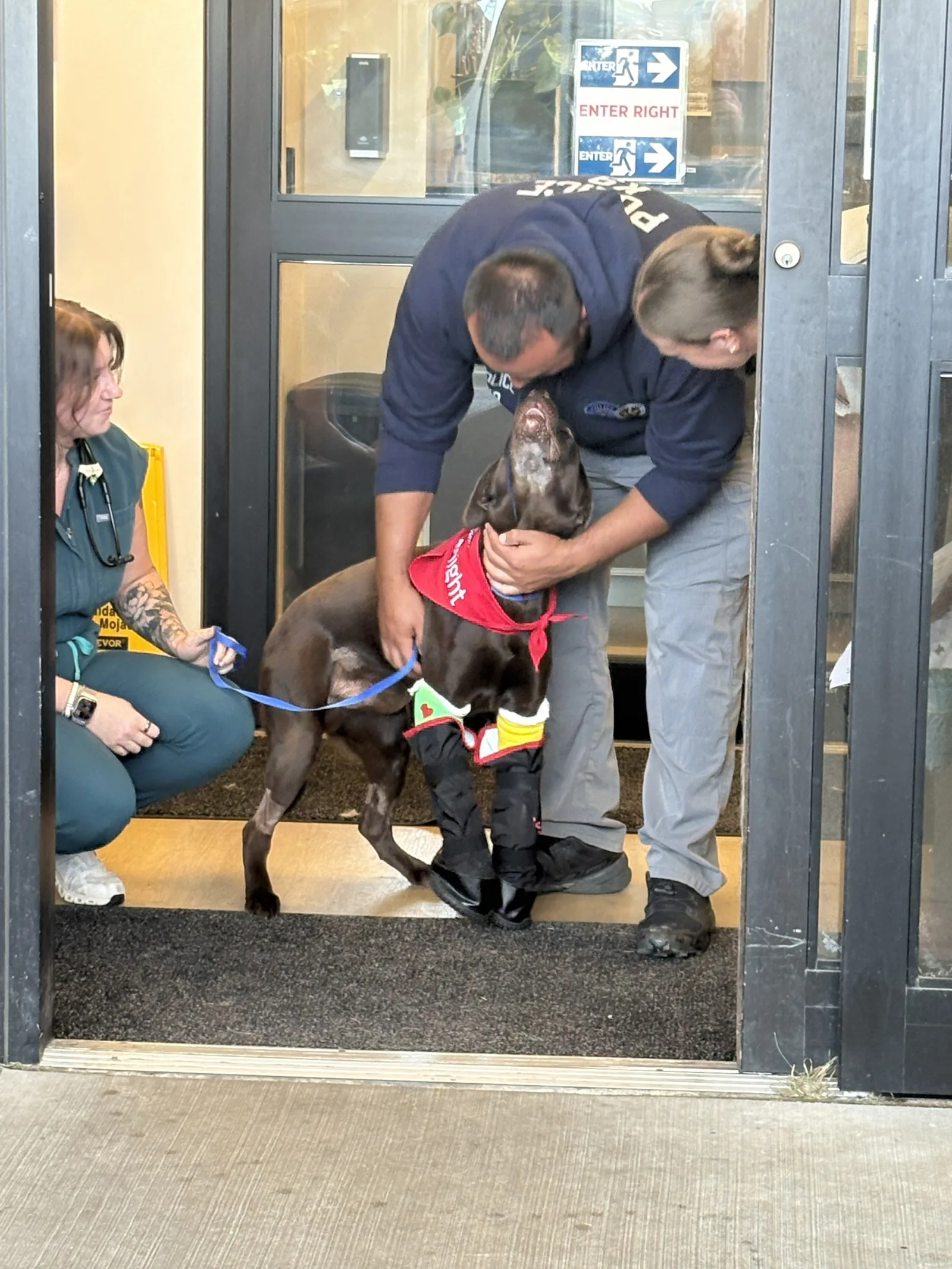 Park City Police K-9 Bruno Returns Home After Jumping From Freeway Overpass Near U.S. 40 and I-80, With Two Broken Legs and a Fractured Jaw
