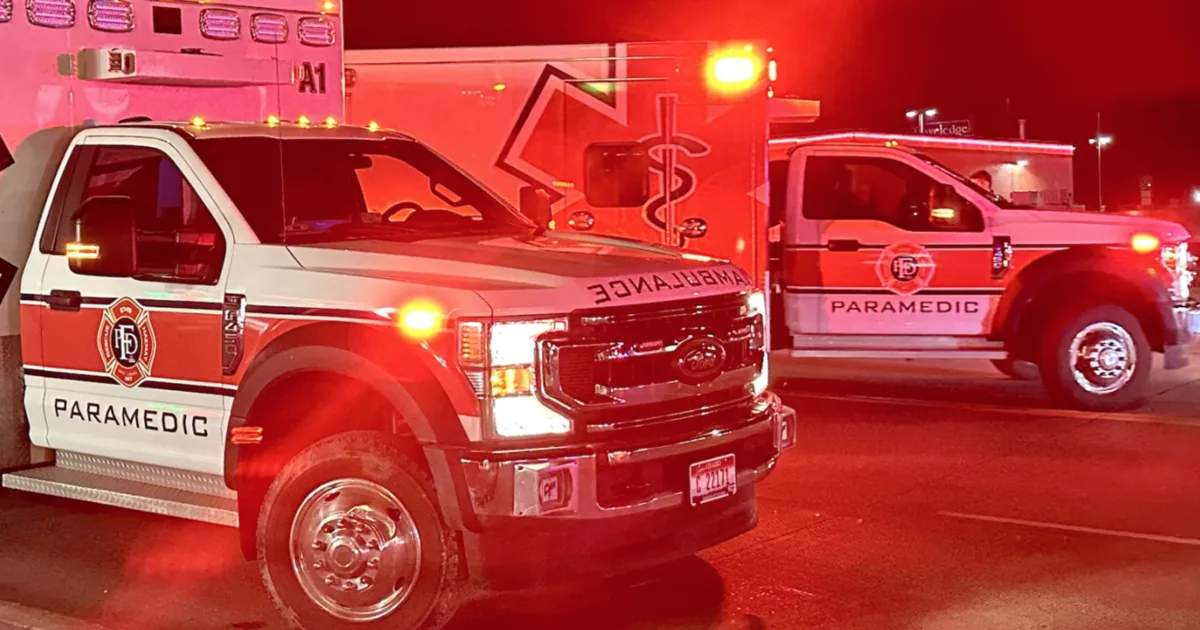 Three Eastbound Vehicles Hit a Moose on Interstate 86 Near Pocatello, Sending at Least Two Adults to Portneuf Medical Center Wednesday Night