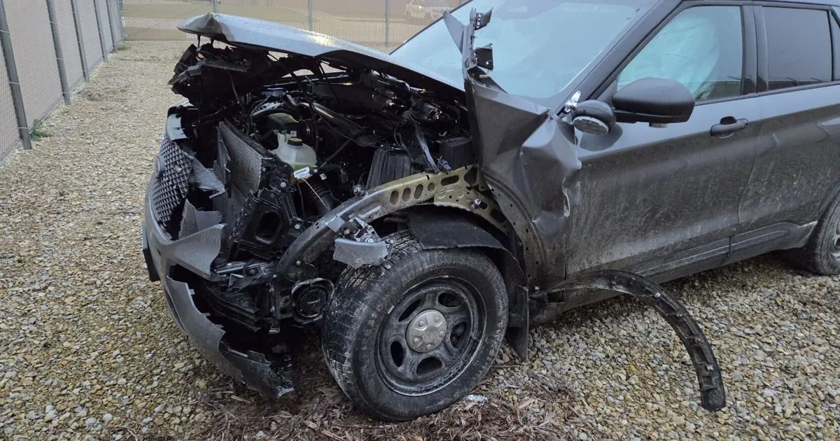 Eastern Iowa Deputy’s SUV Totals After Nighttime Crash With Angus Cow on Neon Road Near Oelwein During Emergency Response