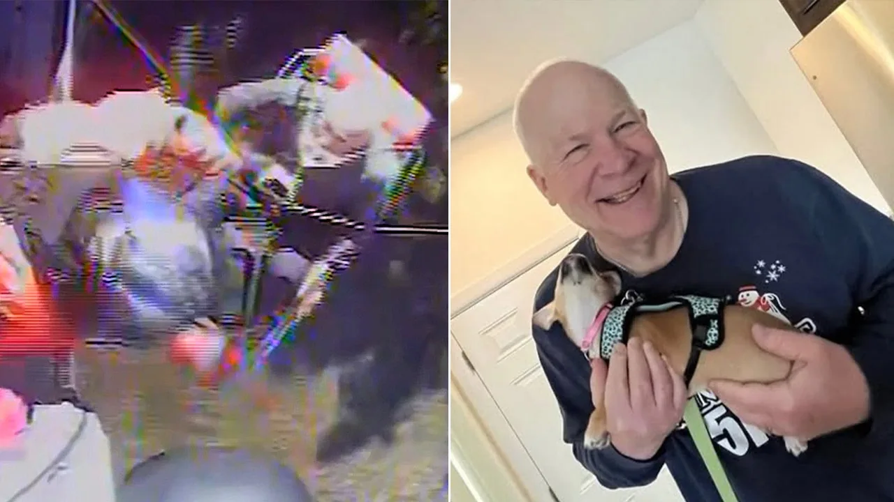 70-Year-Old Michigan Hiker Found Alive After Weeklong Search in Isle Royale National Park, Rescued by Coast Guard Helicopter and State Police Teams