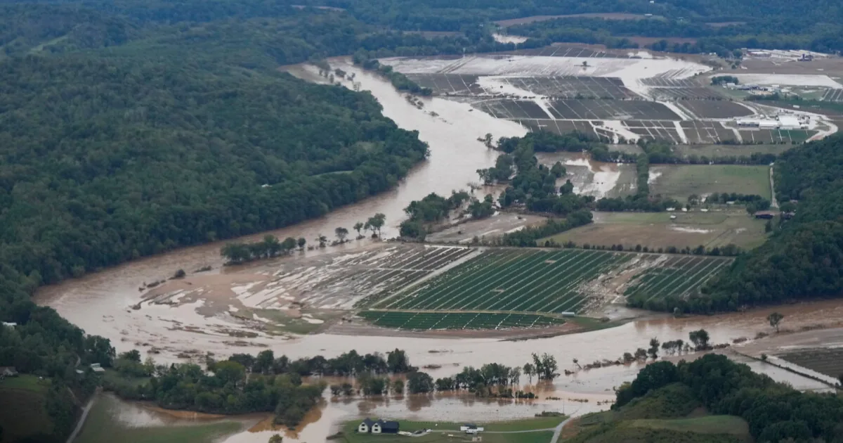 Final Missing Hurricane Helene Victim in Tennessee Found Two Years Later After Flood Debris Search in Cherokee National Forest Ends Nancy Tucker Case