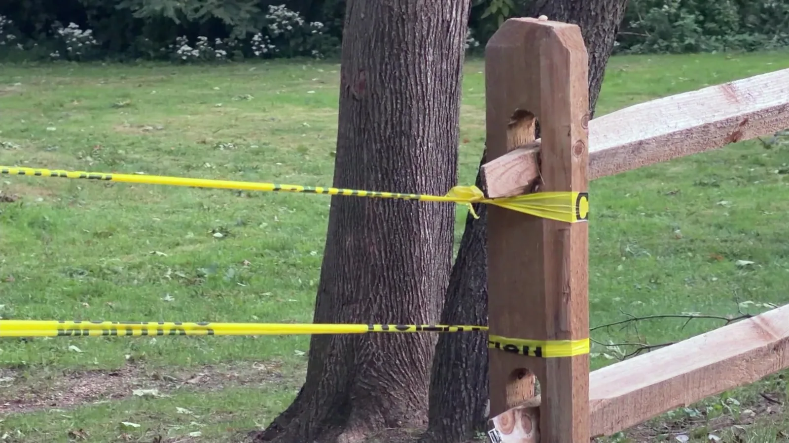 Skeletal Remains Found in Manhasset Park Are Believed to Be Missing Person From Nearly a Year Ago, Nassau County Police Say